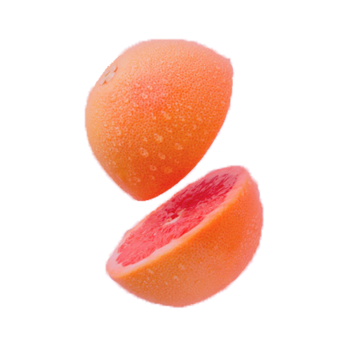 https://toroness.com/en/wp-content/uploads/2017/09/sliced_orange.png