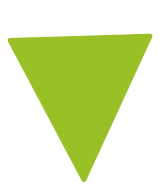 https://toroness.com/en/wp-content/uploads/2017/09/triangle_green.png