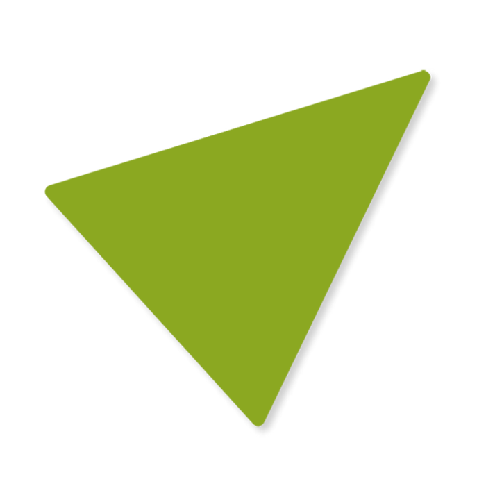 https://toroness.com/en/wp-content/uploads/2017/09/triangle_green_03.png